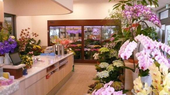 埼玉県和光市の花屋 鈴木園芸生花店にフラワーギフトはお任せください 当店は 安心と信頼の花キューピット加盟店です 花キューピットタウン