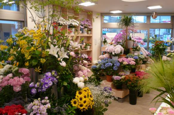 埼玉県和光市の花屋 鈴木園芸生花店にフラワーギフトはお任せください 当店は 安心と信頼の花キューピット加盟店です 花キューピットタウン